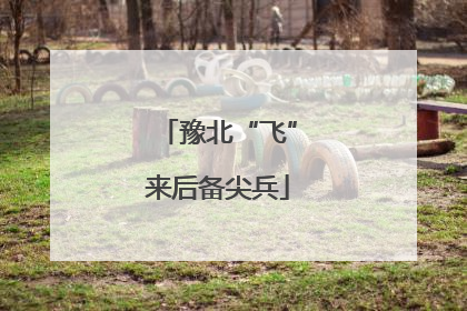 豫北“飞”来后备尖兵