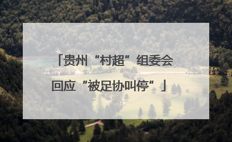 贵州“村超”组委会回应“被足协叫停”