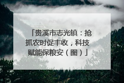 贵溪市志光镇：抢抓农时促丰收，科技赋能保粮安（图）