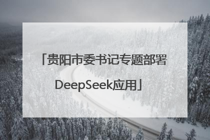 贵阳市委书记专题部署DeepSeek应用