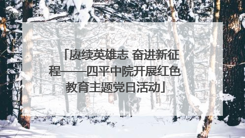 赓续英雄志 奋进新征程——四平中院开展红色教育主题党日活动