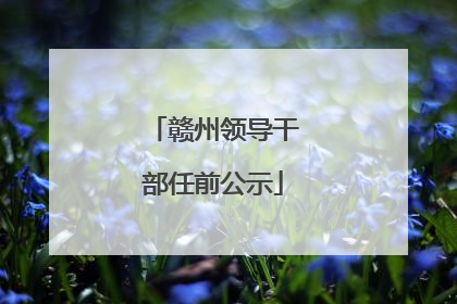 赣州领导干部任前公示