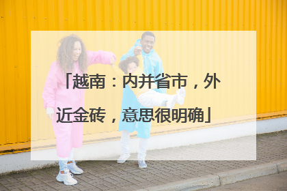 越南：内并省市，外近金砖，意思很明确