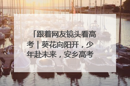 跟着网友镜头看高考｜葵花向阳开，少年赴未来，安乡高考首日的希望图景