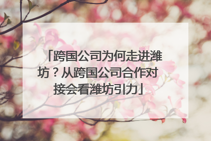 跨国公司为何走进潍坊？从跨国公司合作对接会看潍坊引力