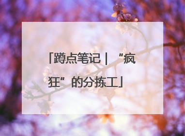 蹲点笔记｜“疯狂”的分拣工