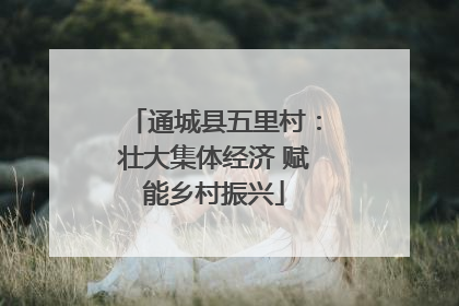 通城县五里村：壮大集体经济 赋能乡村振兴