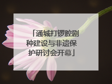 通城打锣腔剧种建设与非遗保护研讨会开幕