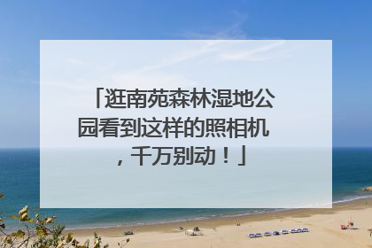 逛南苑森林湿地公园看到这样的照相机，千万别动！
