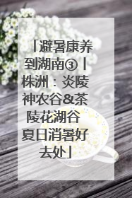 避暑康养到湖南③丨株洲：炎陵神农谷&茶陵花湖谷 夏日消暑好去处