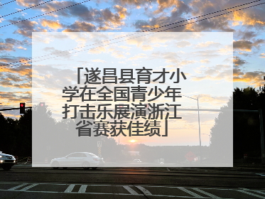 遂昌县育才小学在全国青少年打击乐展演浙江省赛获佳绩