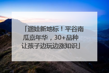 遛娃新地标！平谷南瓜嘉年华，30+品种让孩子边玩边涨知识
