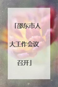 邵东市人大工作会议召开