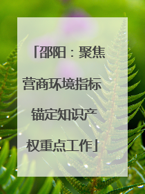 邵阳：聚焦营商环境指标 锚定知识产权重点工作