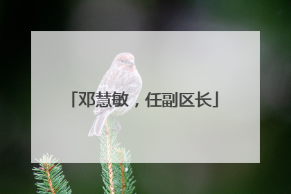 邓慧敏，任副区长