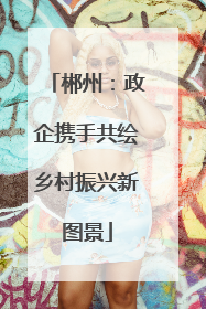 郴州：政企携手共绘乡村振兴新图景