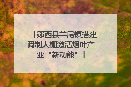郧西县羊尾镇搭建调制大棚激活烟叶产业“新动能”