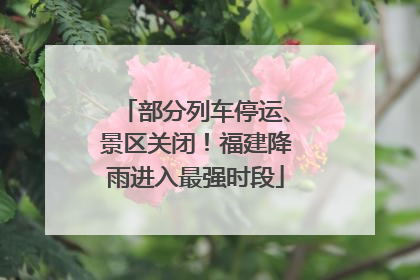 部分列车停运、景区关闭！福建降雨进入最强时段