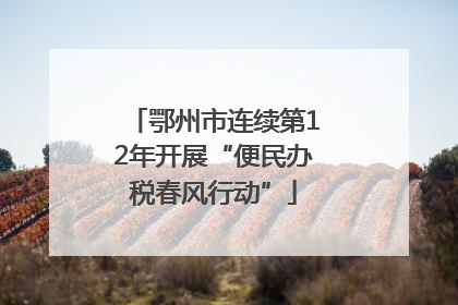 鄂州市连续第12年开展“便民办税春风行动”