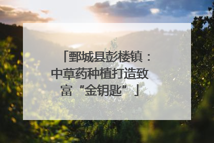 鄄城县彭楼镇：中草药种植打造致富“金钥匙”