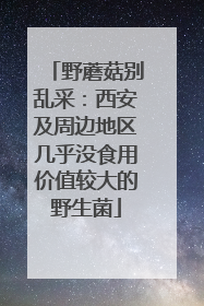 野蘑菇别乱采：西安及周边地区几乎没食用价值较大的野生菌