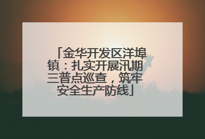 金华开发区洋埠镇：扎实开展汛期三普点巡查，筑牢安全生产防线