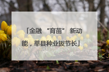 金融 “育苗” 新动能，莘县种业拔节长