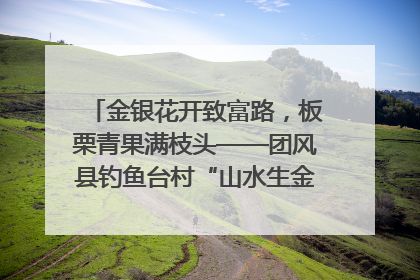 金银花开致富路，板栗青果满枝头——团风县钓鱼台村“山水生金”谱写共富新篇章