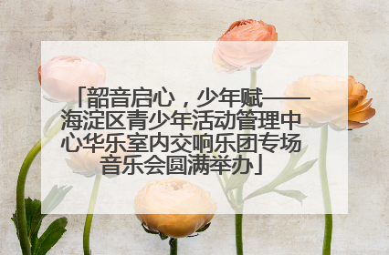 韶音启心，少年赋——海淀区青少年活动管理中心华乐室内交响乐团专场音乐会圆满举办