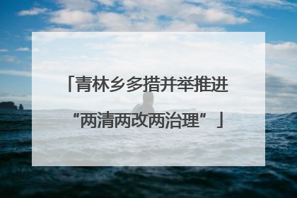 青林乡多措并举推进“两清两改两治理”