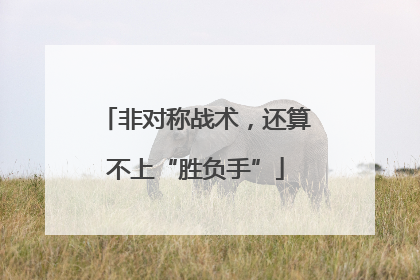 非对称战术，还算不上“胜负手”