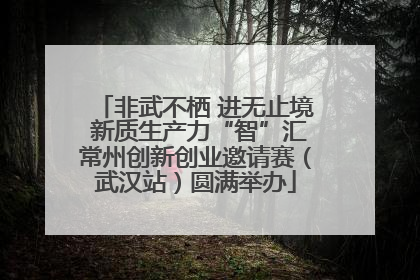 非武不栖 进无止境 新质生产力“智”汇常州创新创业邀请赛（武汉站）圆满举办