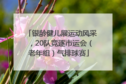 银龄健儿展运动风采，20队竞逐市运会（老年组）气排球赛