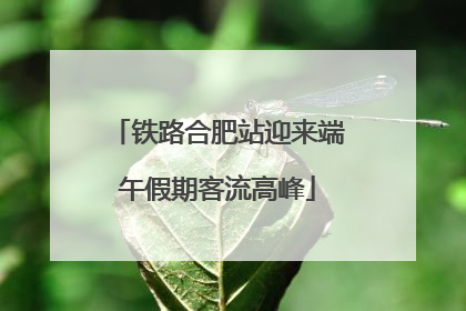 铁路合肥站迎来端午假期客流高峰