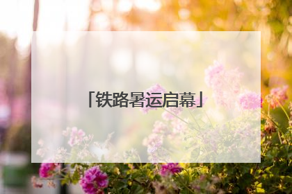 铁路暑运启幕