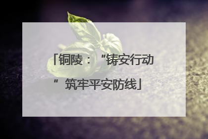 铜陵：“铸安行动”筑牢平安防线