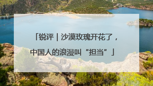 锐评｜沙漠玫瑰开花了，中国人的浪漫叫“担当”