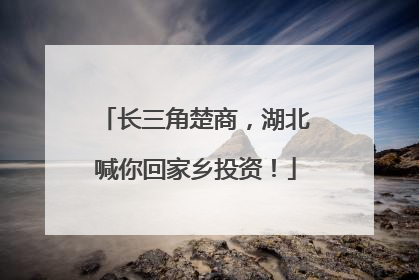 长三角楚商，湖北喊你回家乡投资！