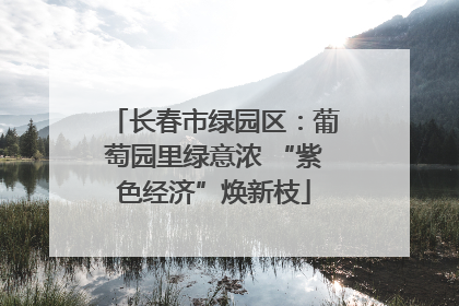 长春市绿园区：葡萄园里绿意浓 “紫色经济”焕新枝