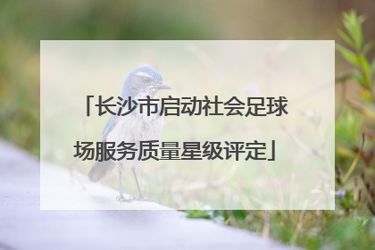 长沙市启动社会足球场服务质量星级评定
