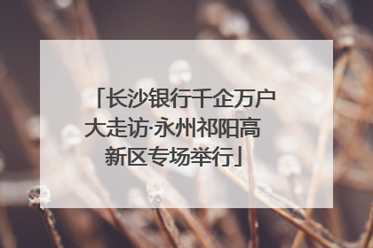 长沙银行千企万户大走访·永州祁阳高新区专场举行