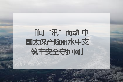 闻“汛”而动 中国太保产险丽水中支筑牢安全守护网