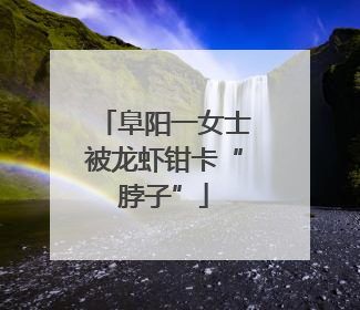 阜阳一女士被龙虾钳卡“脖子”
