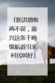 防洪增收两不误，嘉兴这条千吨级航道引来村民叫好