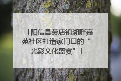 阳信县劳店镇湖畔嘉苑社区打造家门口的“光影文化盛宴”