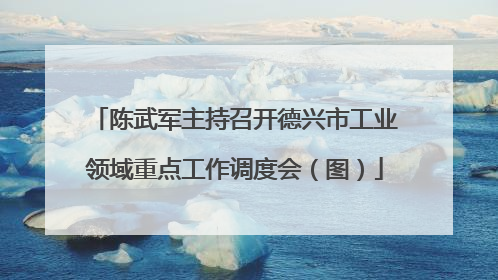陈武军主持召开德兴市工业领域重点工作调度会（图）