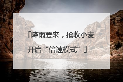 降雨要来，抢收小麦开启“倍速模式”