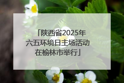 陕西省2025年六五环境日主场活动在榆林市举行