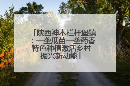 陕西神木栏杆堡镇：一垄瓜苗一垄药香 特色种植激活乡村振兴新动能