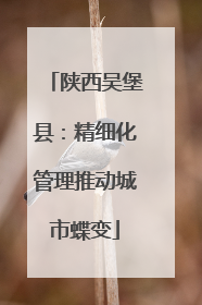 陕西吴堡县：精细化管理推动城市蝶变